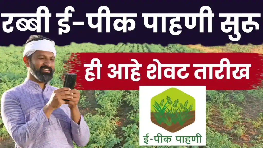 रब्बी हंगामाच्या ‘ई पीक पाहणी’ची प्रक्रिया सुरू! ही आहे नोंदणीची अंतिम मुदत