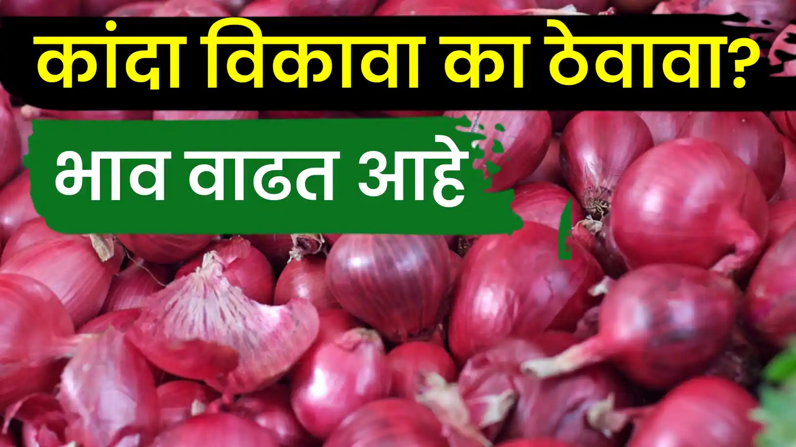 निर्यात वाढली-कांद्याच्या भावात होतेय वाढ, आता कांदा विकावा कि थांबावे ?